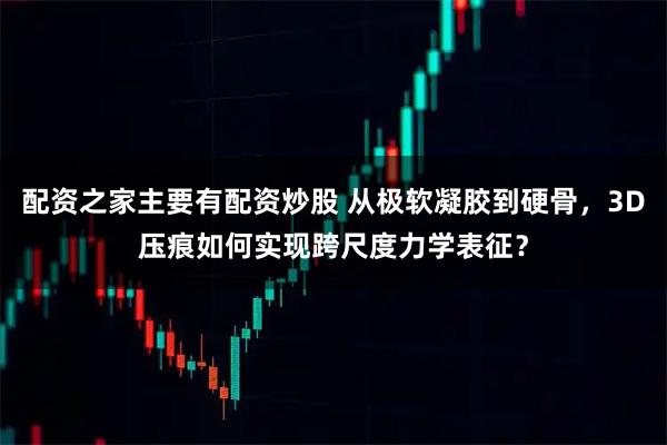 配资之家主要有配资炒股 从极软凝胶到硬骨，3D压痕如何实现跨尺度力学表征？